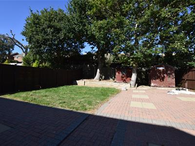 Picture 15